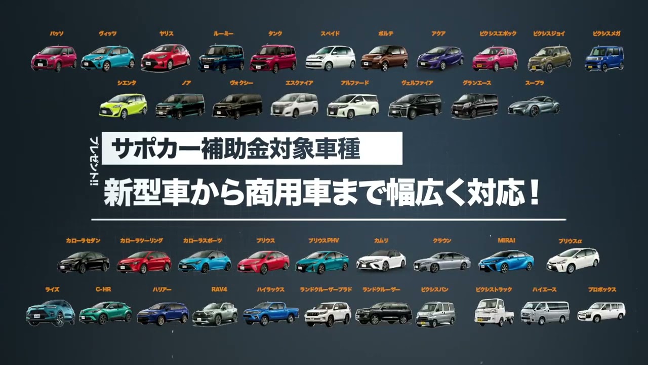 2020年　サポカー補助金動画