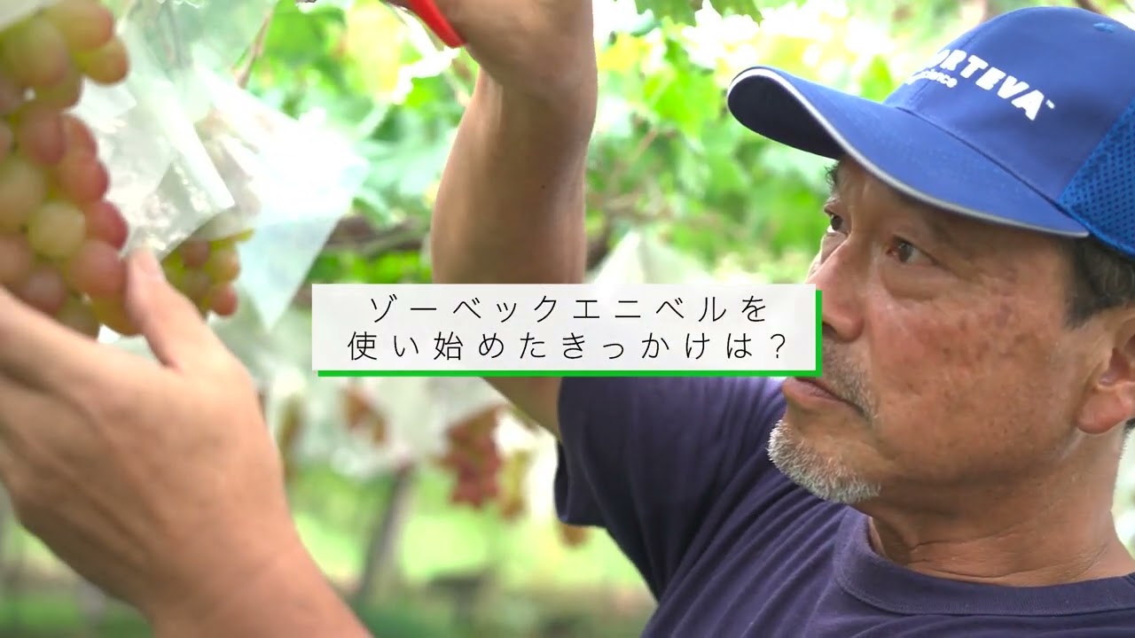 映像制作、インタビュー