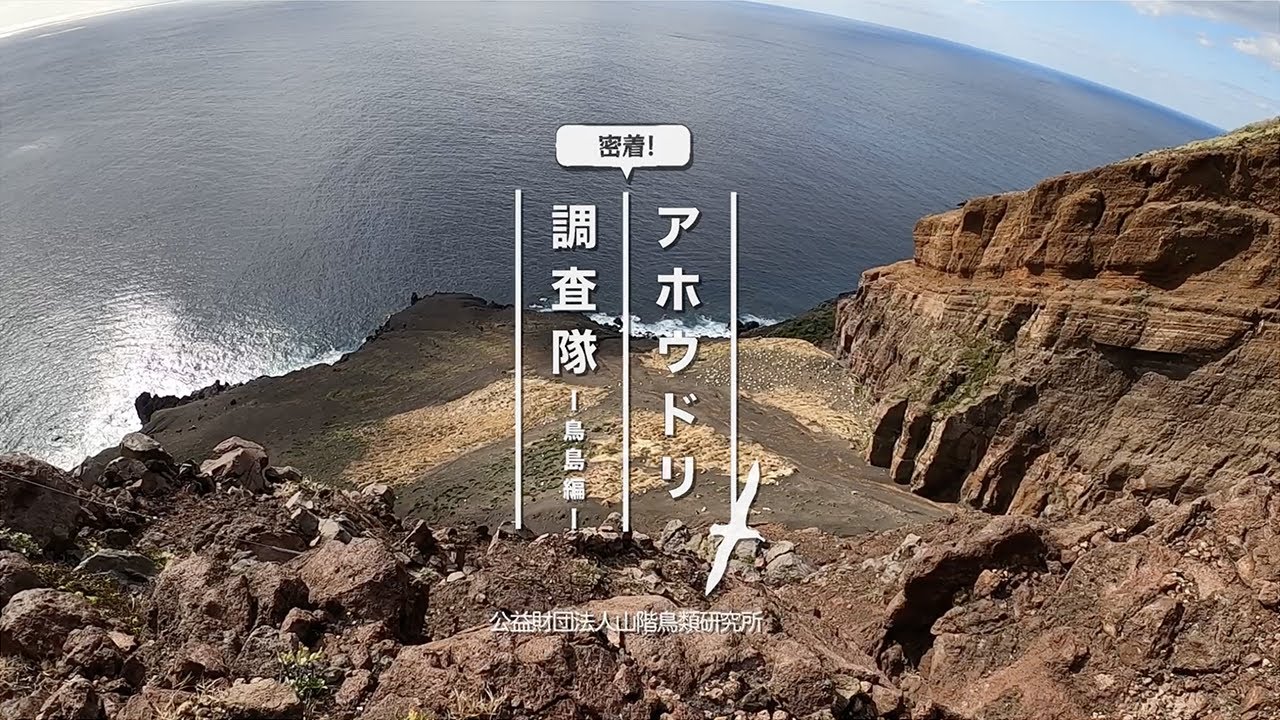 マーケティング、exhibition