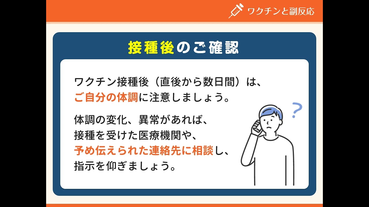 チューリップ、文化