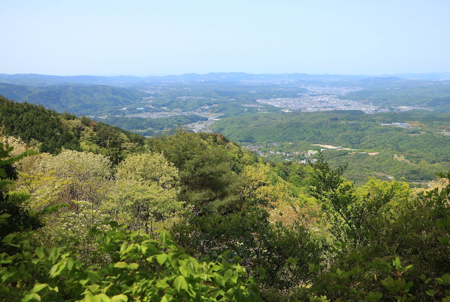 森林浴と山上の湿原、山岳パノラマを楽しむ東濃「屏風山」登山｜旅のコラム｜岐阜県観光公式サイト 「岐阜の旅ガイド」