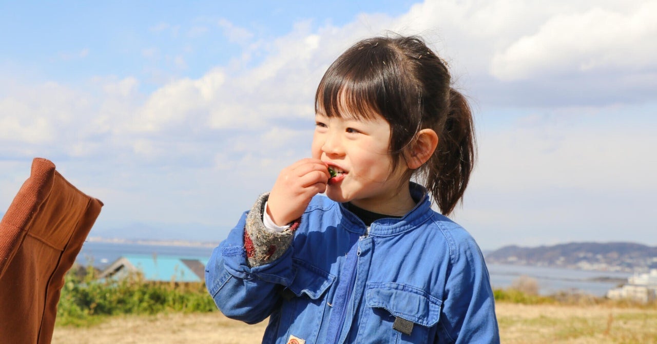 写真撮影、環境