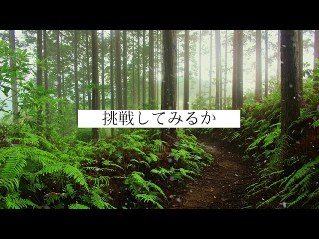 tv出演、ａｉ動画