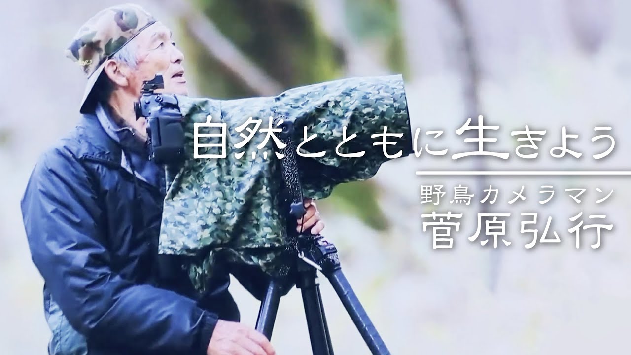 【83歳・野鳥カメラマン】北海道白老町で18年間、野鳥を撮影する男の熱い想い【SHIRAOI BITO 〜ニタイライフ〜】【ポロトの森】