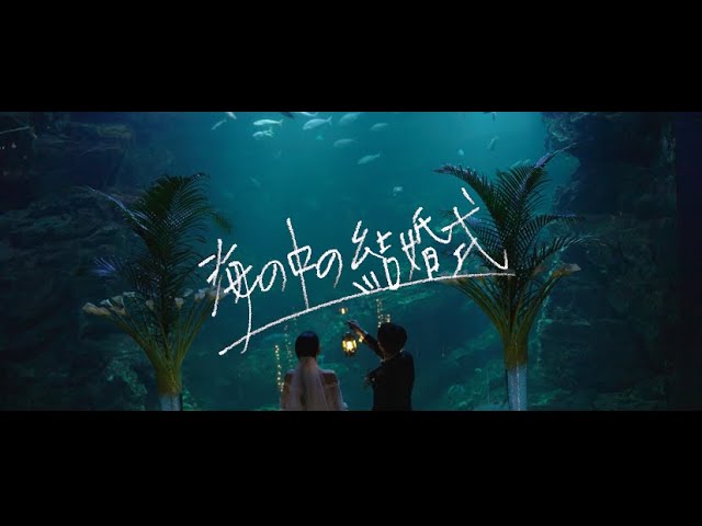 海の生き物、結婚式