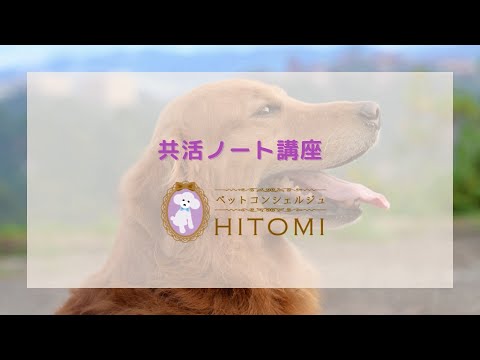 【制作実績】サービス紹介＜共活ノート講座様＞