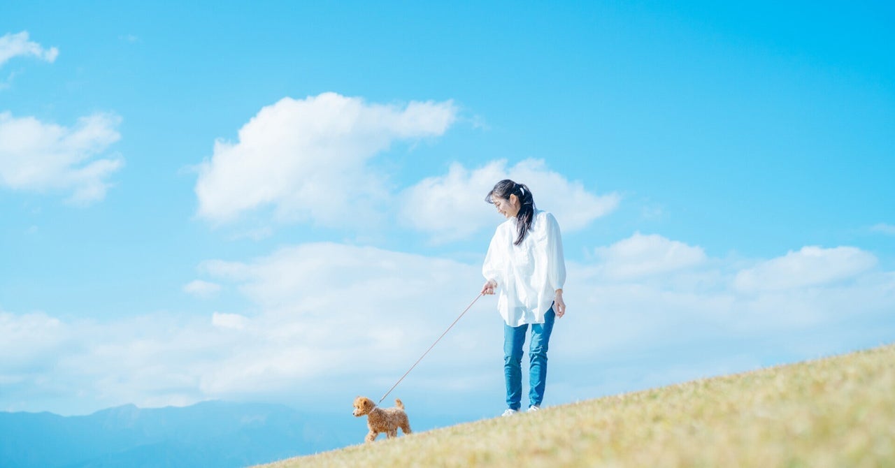 ペットを飼い始めたときが考えどき　自分が病気やケガをしたときのお金への備え方｜ライフネット生命保険株式会社
