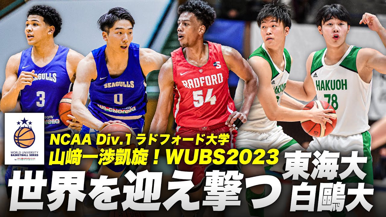 レビュー、取材