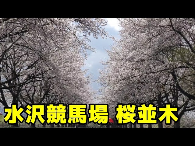 2023、名所
