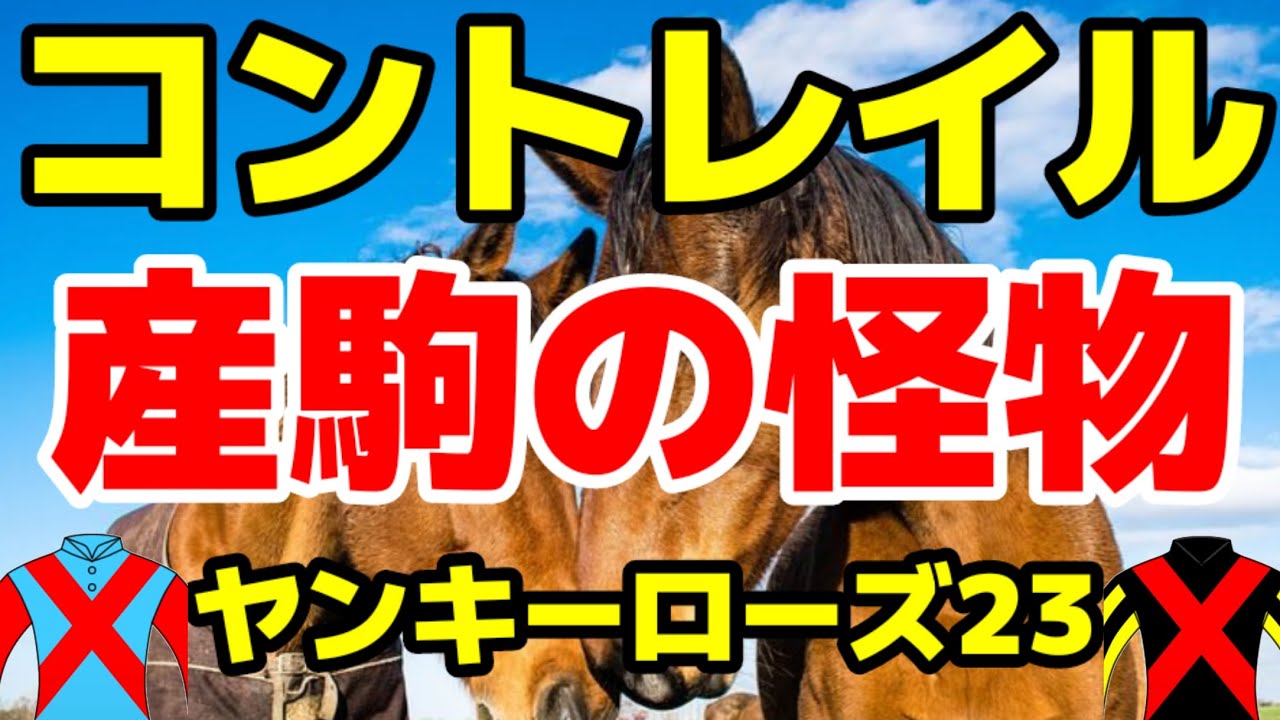youtuber、ブログ