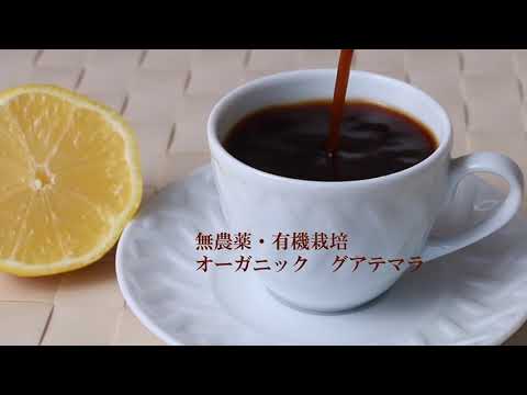珈琲CM風
