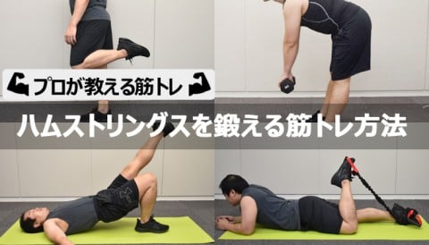 ハムストリングスを鍛える筋トレ方法【プロが教える脚の筋トレ】
