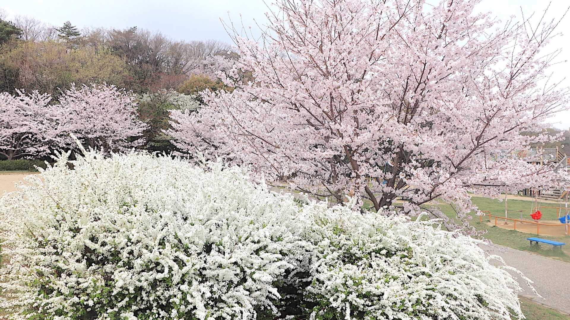 背景、yahoo!ニュース