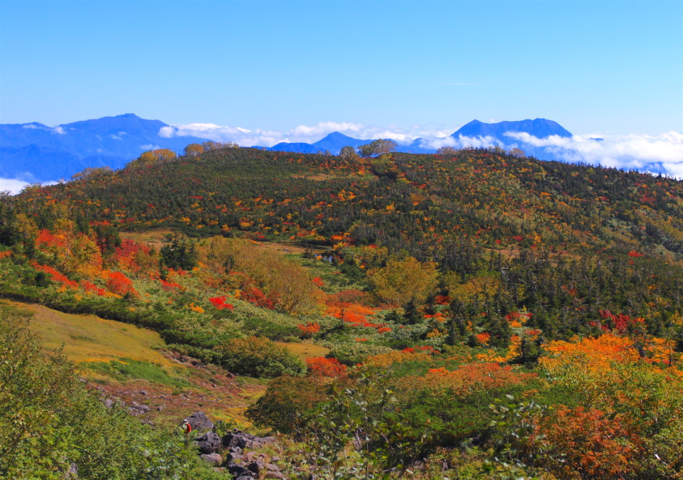 9月に始まる北アルプスの紅葉！絶景の「白馬乗鞍岳」ハイキング - 観光旅行メディア｜まっぷるトラベルガイド