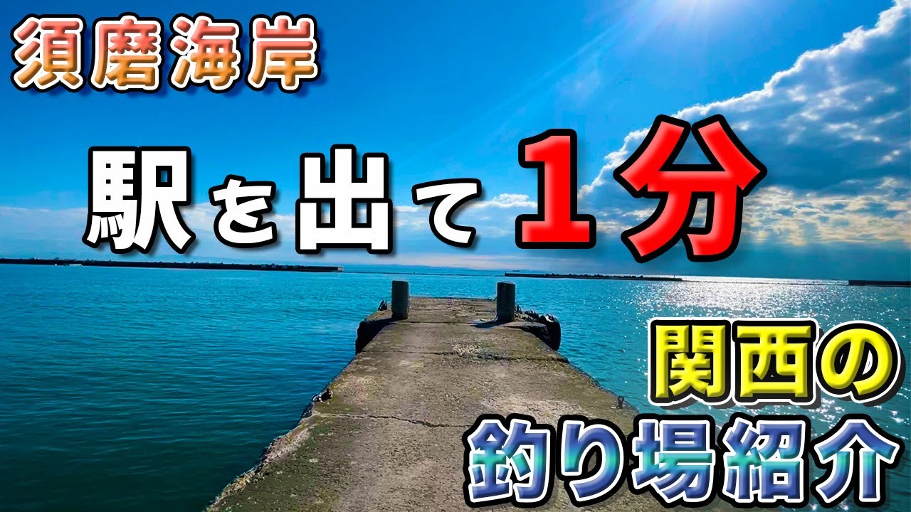 カメラ、子ども