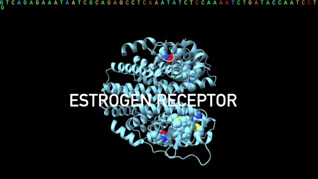 ecサイト、fluorogenic peptide substrate