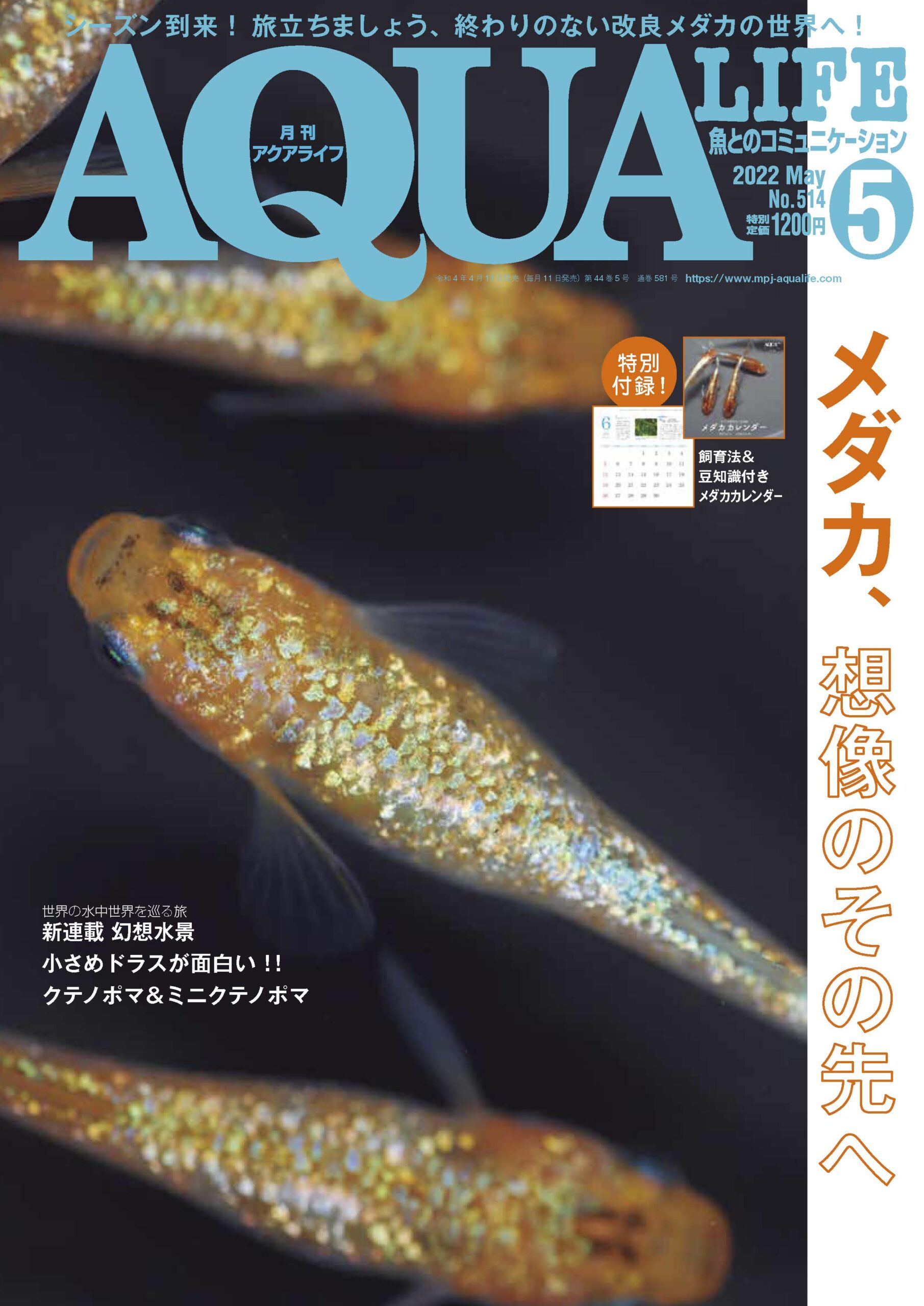 書籍、ウェブサイト