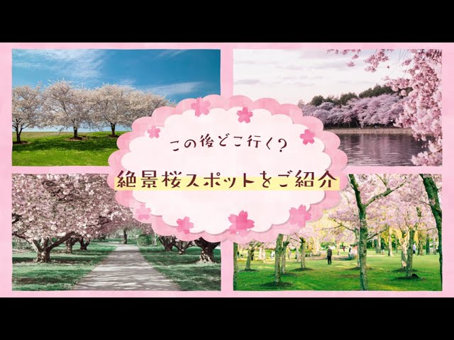 採用、広告動画