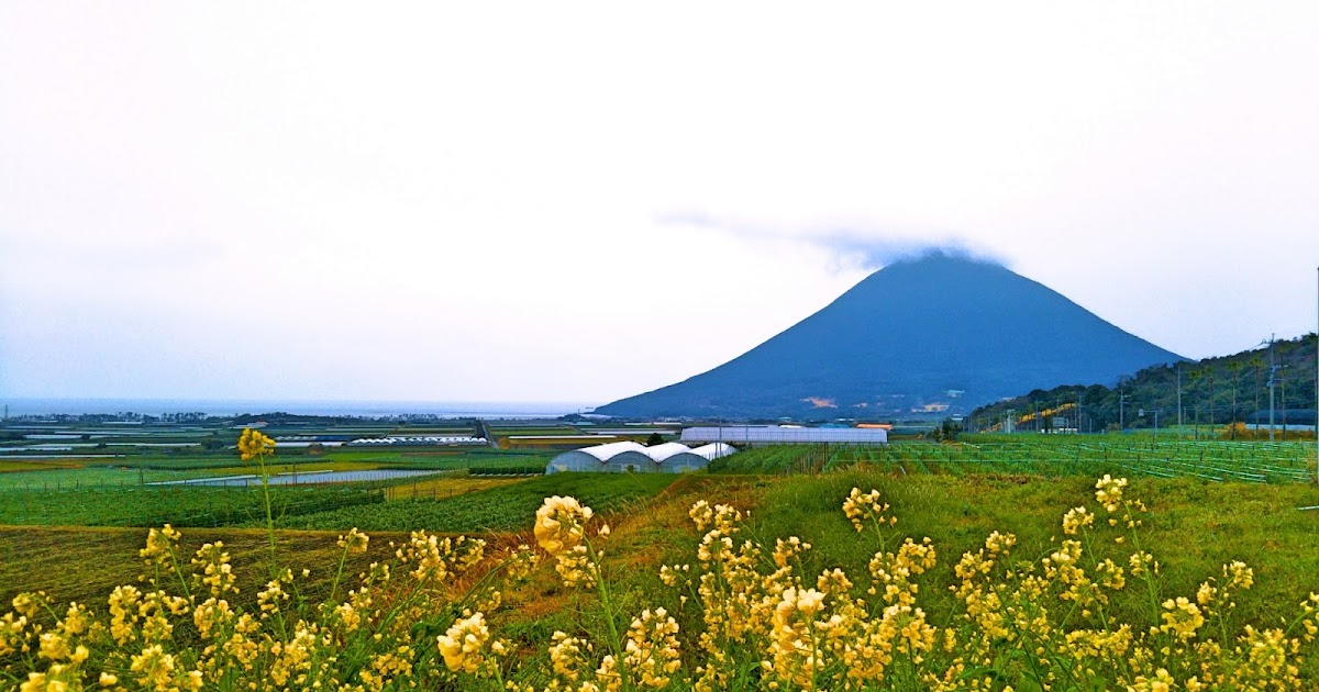 風景、ブログ