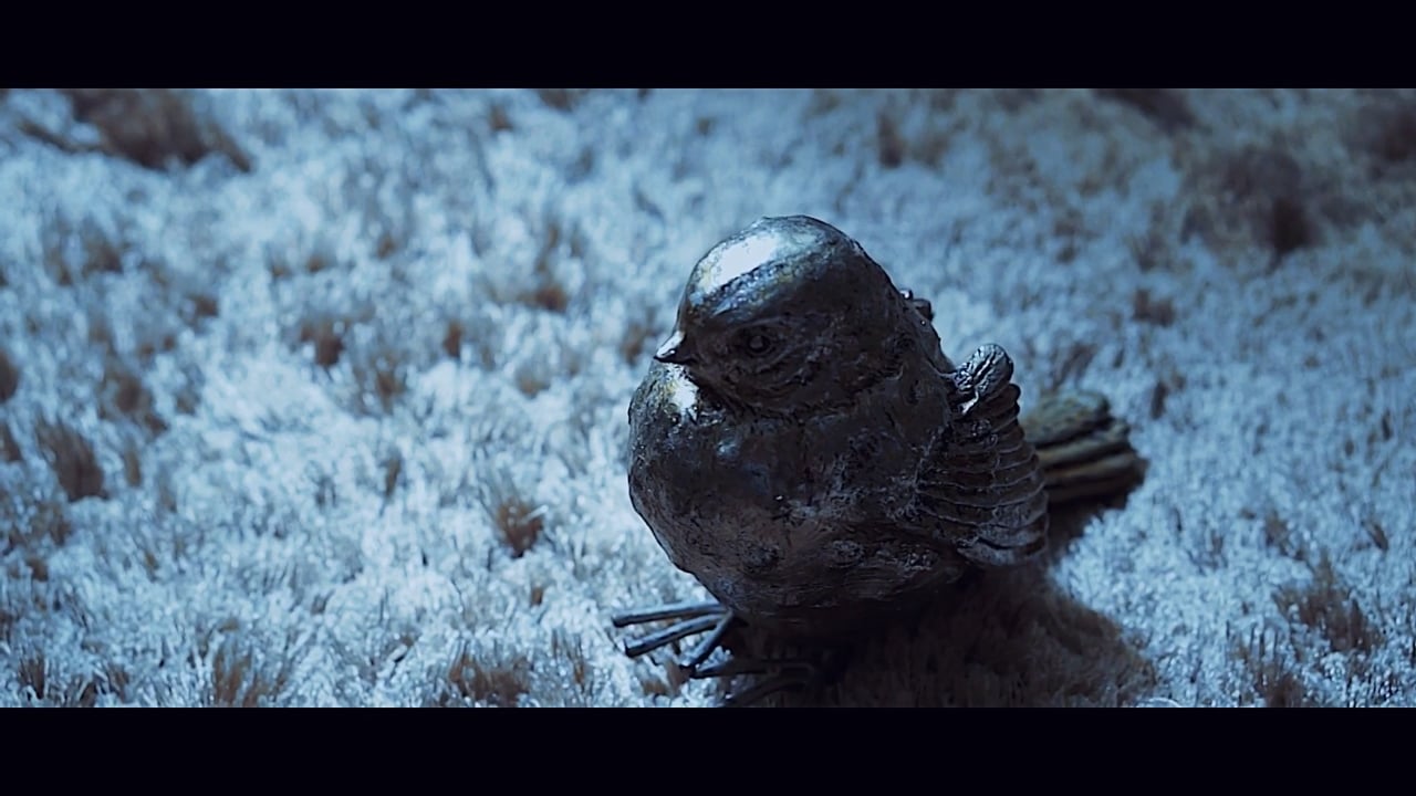 映像、コラージュ