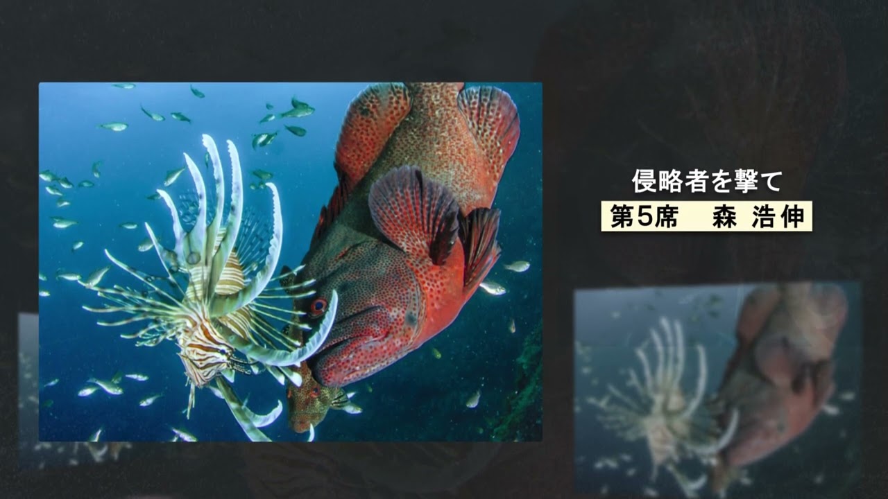 スイーツ、事業