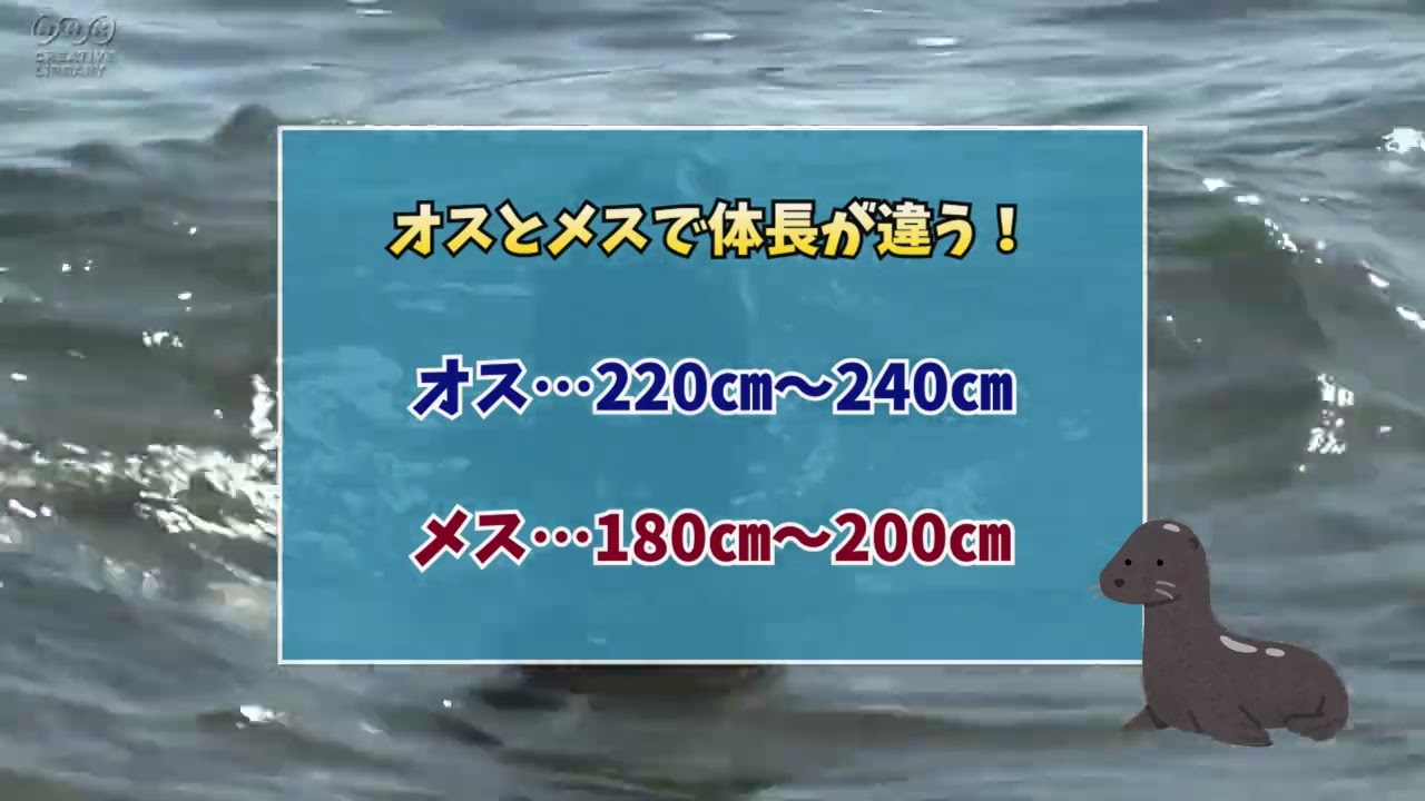 ３dcg、サンプル