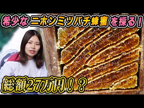 相続時精算課税制度とは？キーワードは「2500万円までの生前贈与」と「税金納付の猶予」【相続専門税理士が解説】