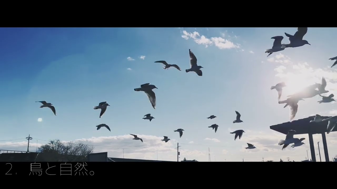 ヤマリョ映像作品ダイジェスト映像
