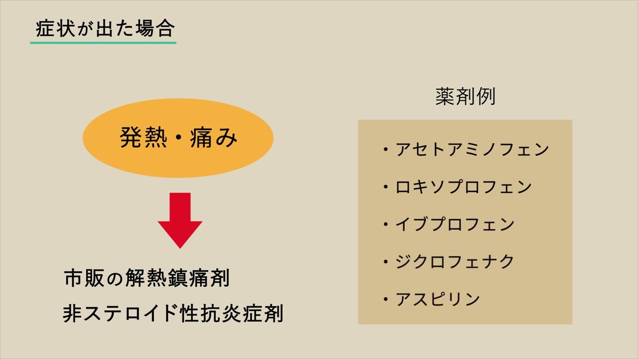 医療系動画サンプル