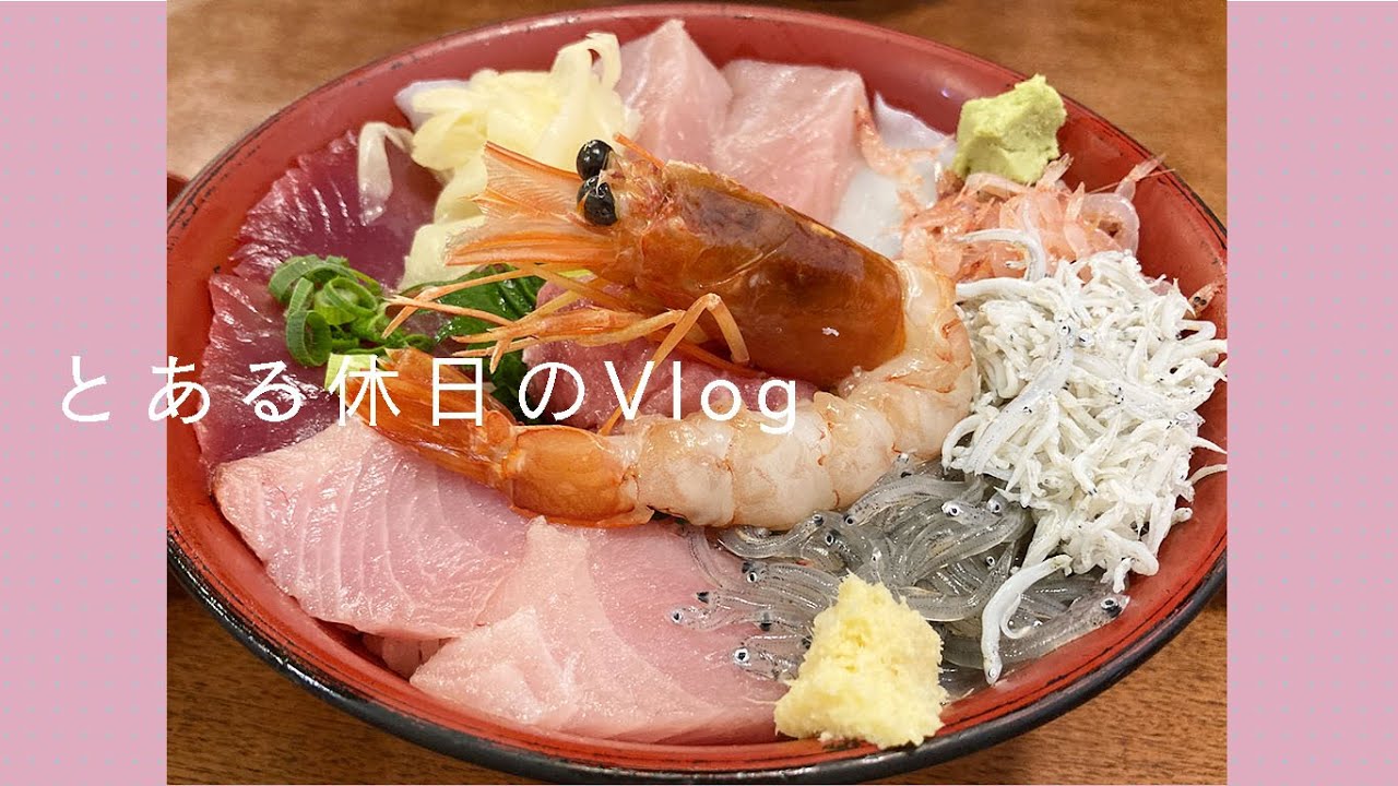 【自主制作】とある休日Vlog