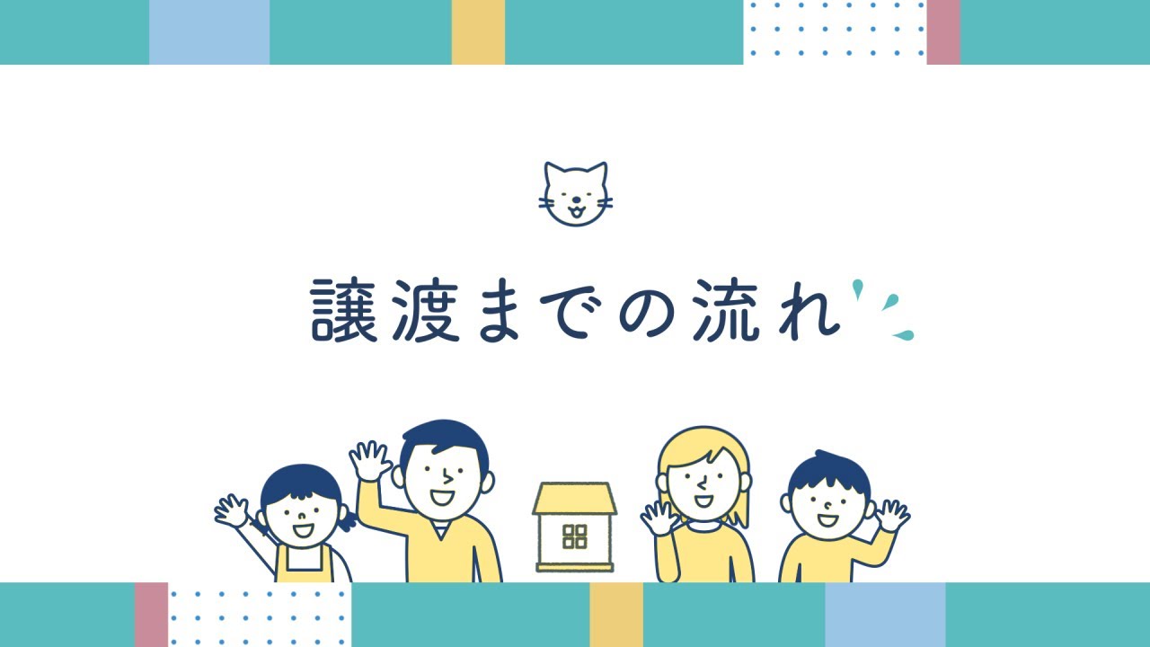 動物、紹介動画