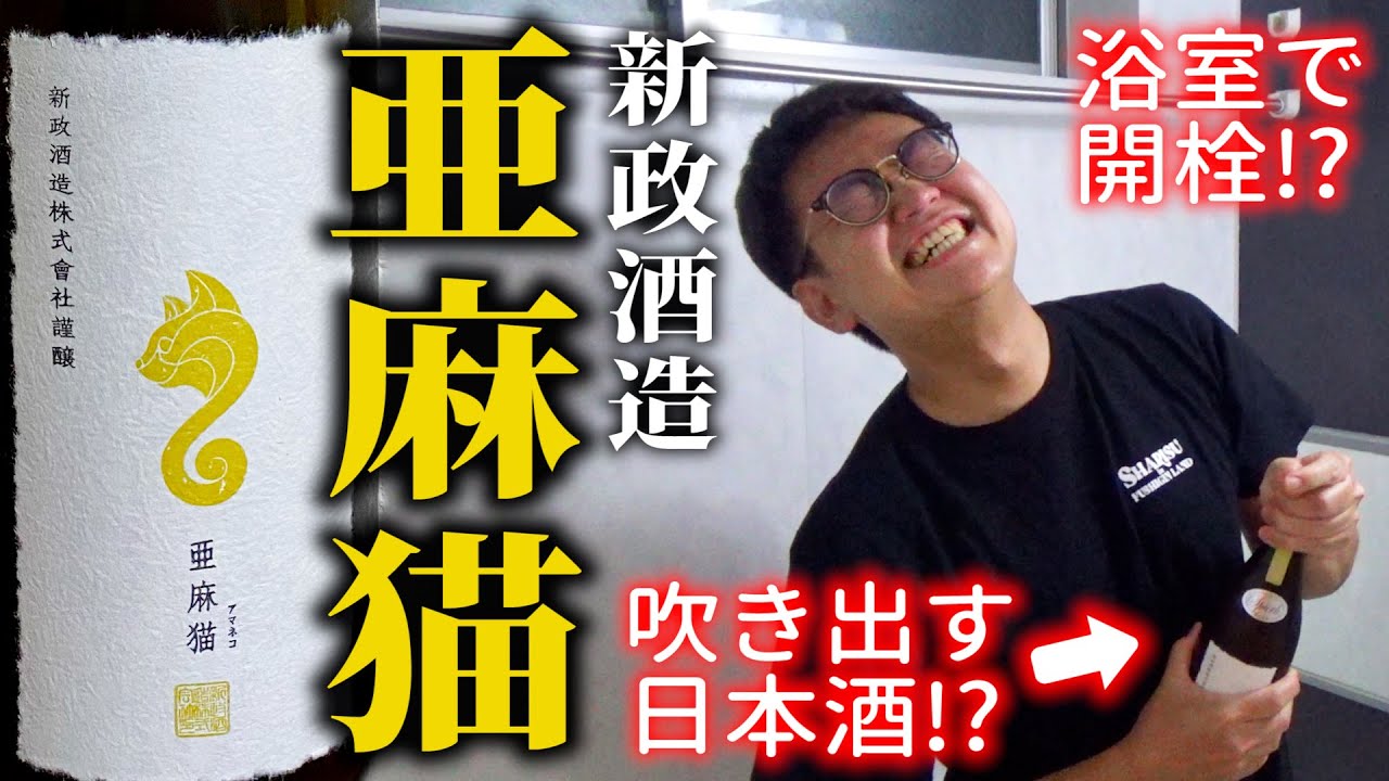 【宅飲み】浴室で開栓する日本酒！？新政酒造の亜麻猫を初めて飲んでみた！【銀シャリ】