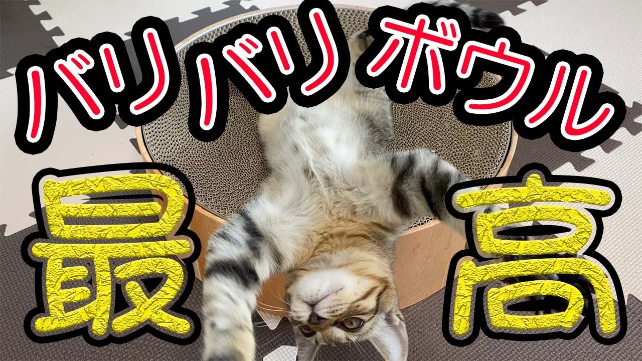 #11 初めてのバリバリボウルでテンション上がっちゃった！