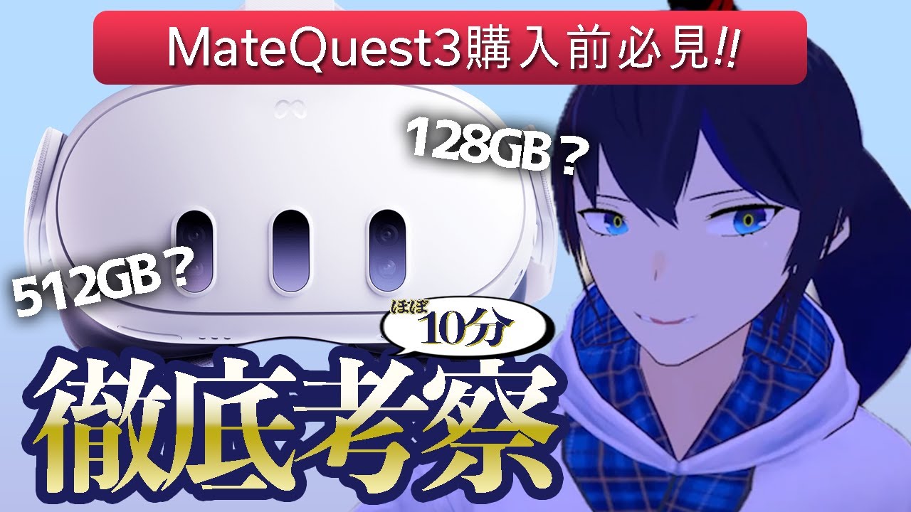 【Meta Quest 3解説】128GBと512GBどっちがオススメ？【切り抜き/なでしこ大和】