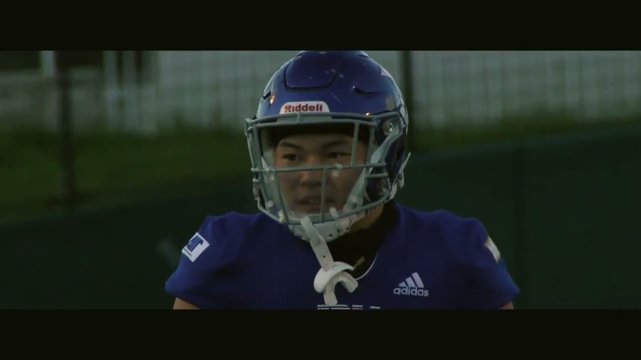 アニメーション、日本代表