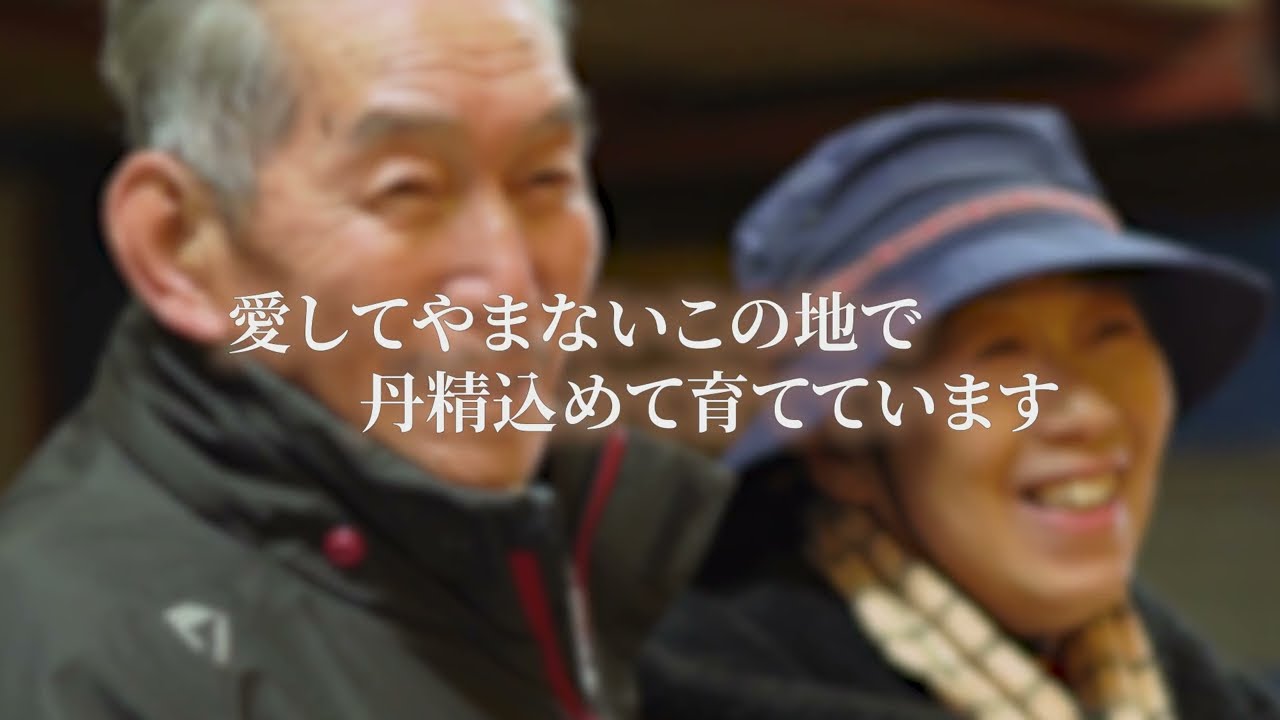 web-site、自己紹介動画