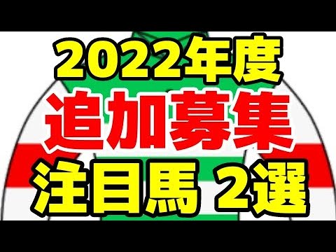 【キャロットクラブ】2022年度追加募集馬評価【ノイエルの2021/ミスベジルの2021】