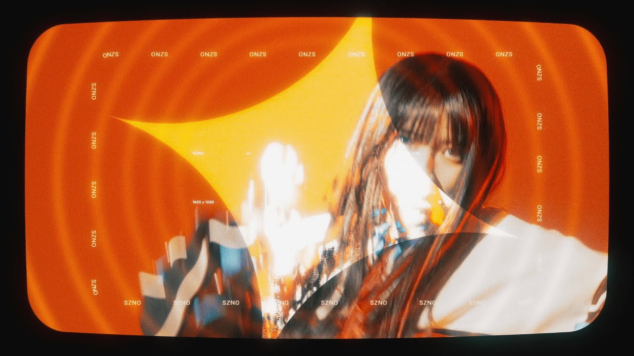 SZNO「××」