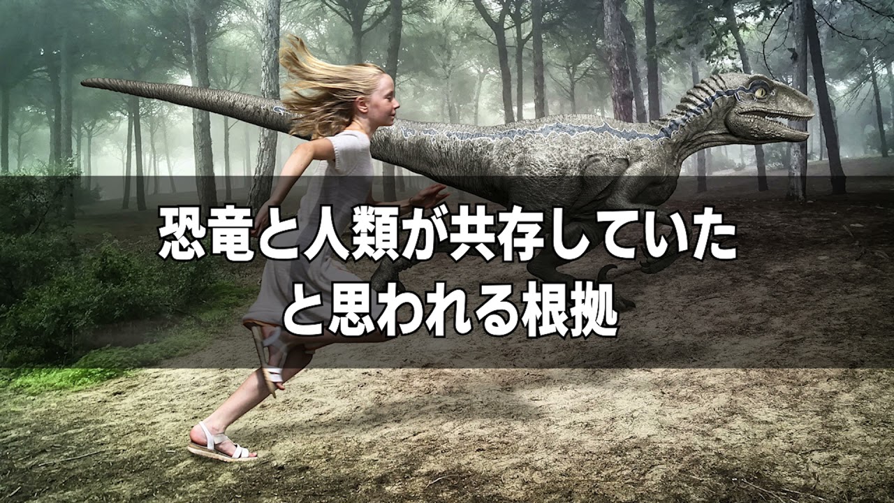 名刺、編集者
