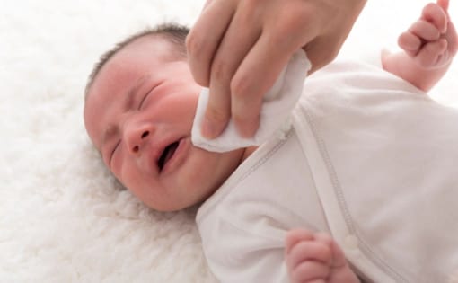 ズン、教育・子育て