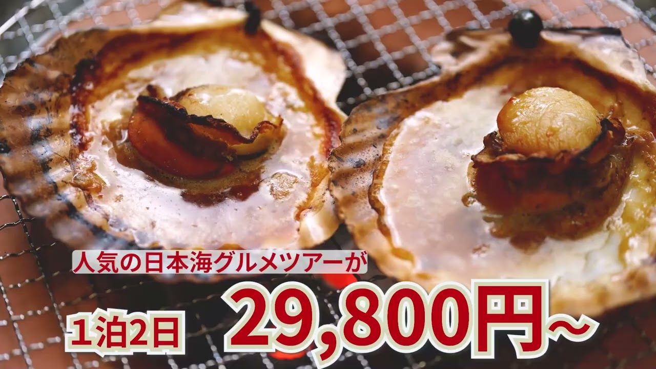 【Hertech架空案件】Web CM　旅行会社