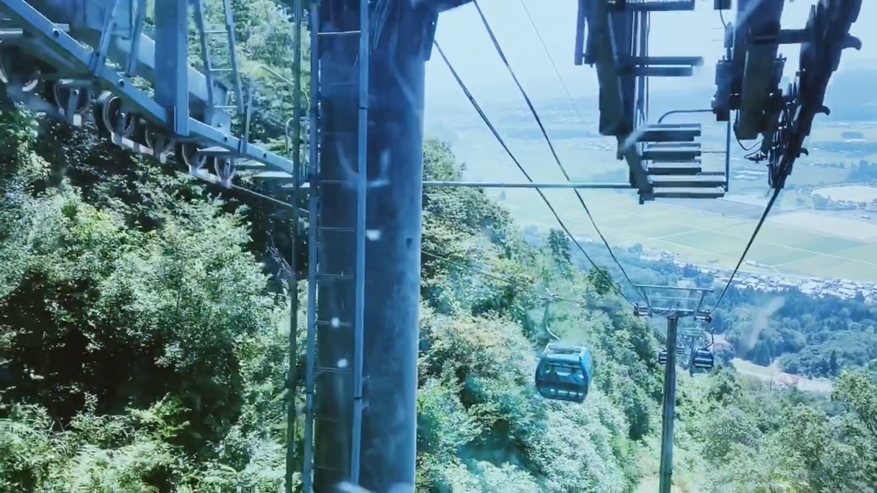 color、travel