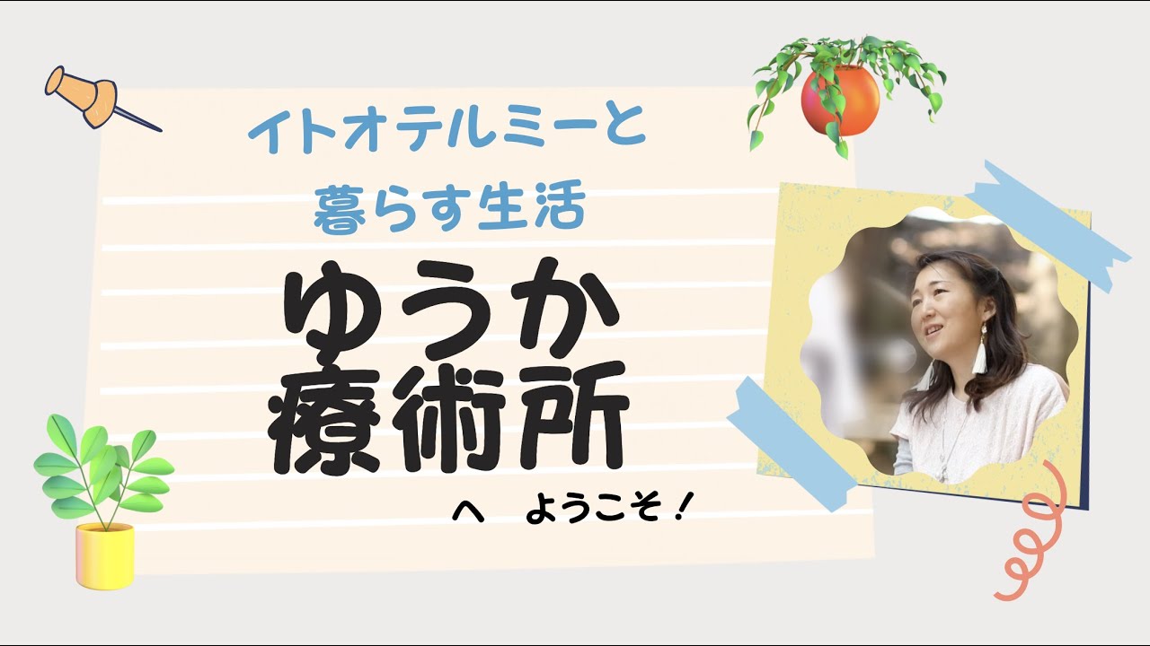 コンサルタント、youtube