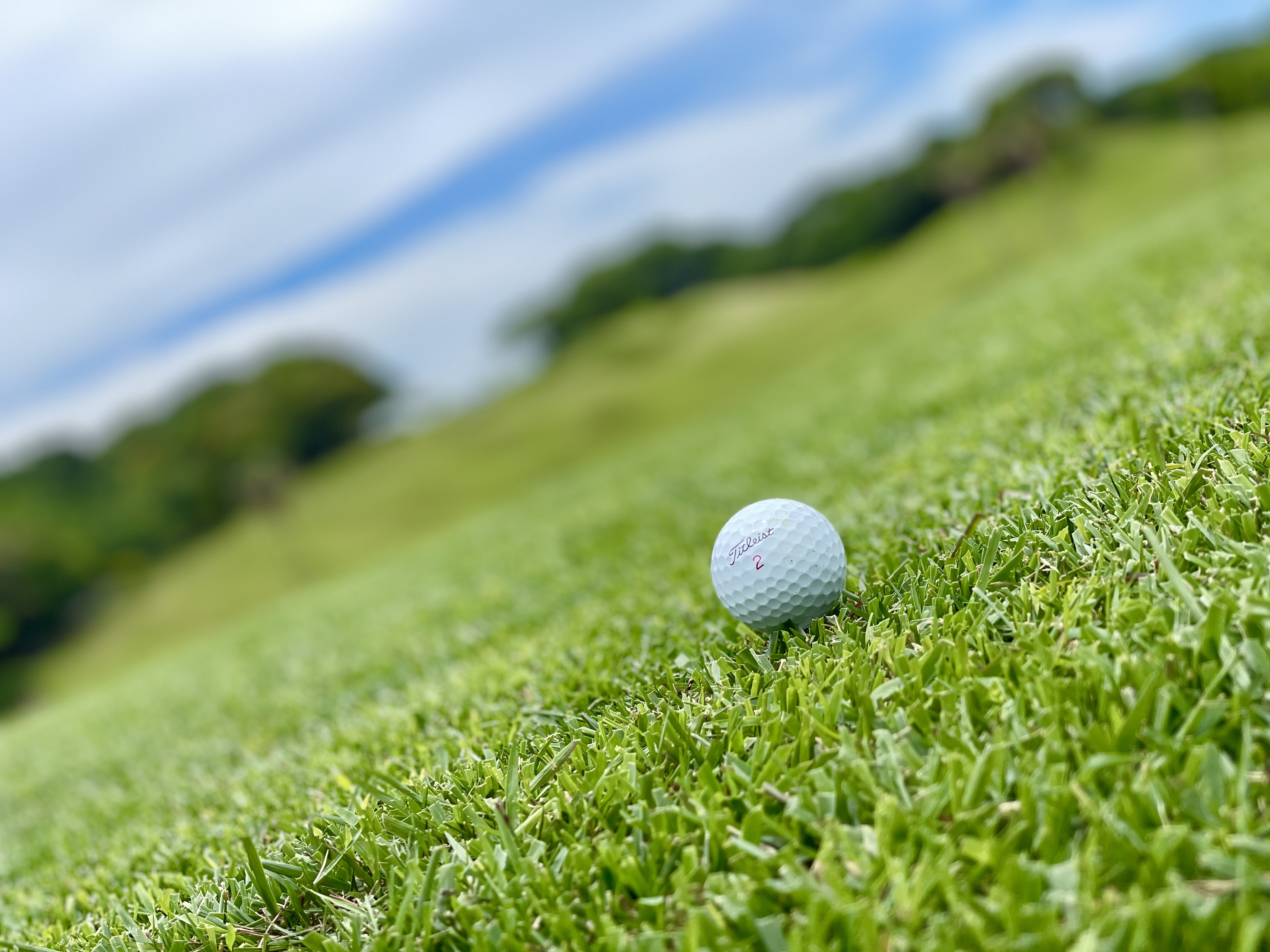 GOLFRAI