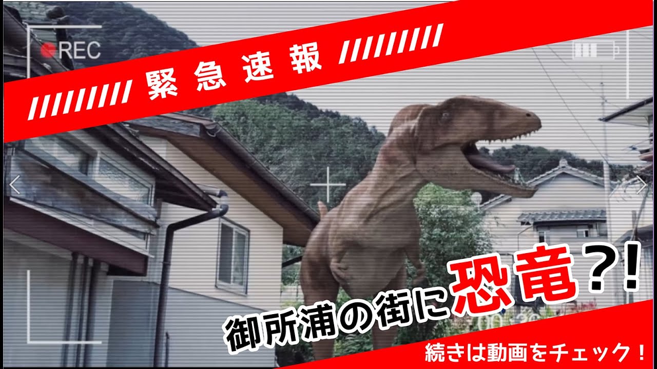 ui、graphic