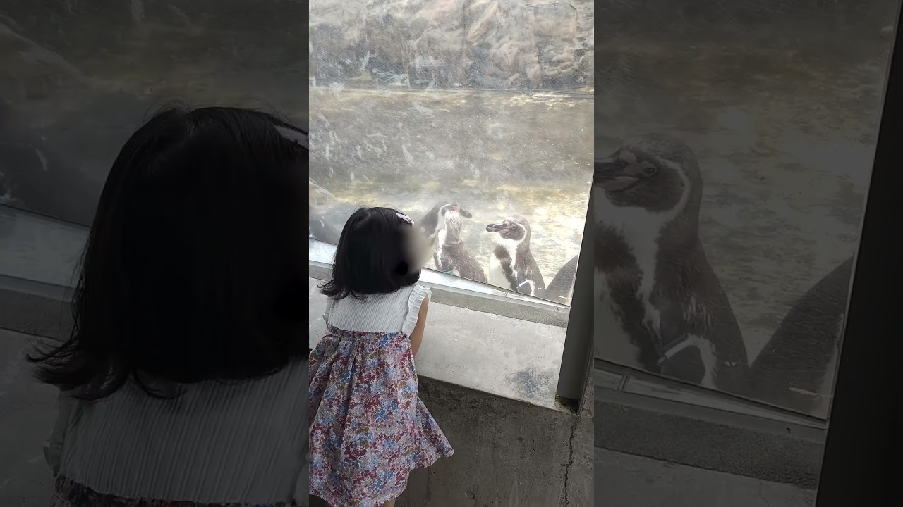 ショート動画　まとめ2件