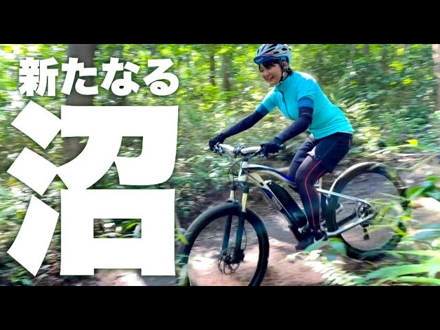 フリーランス、バイク