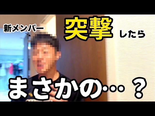 お知らせ、企画