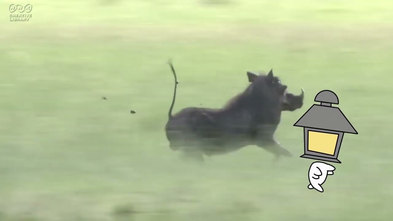 あ！たろうが走っているよ！