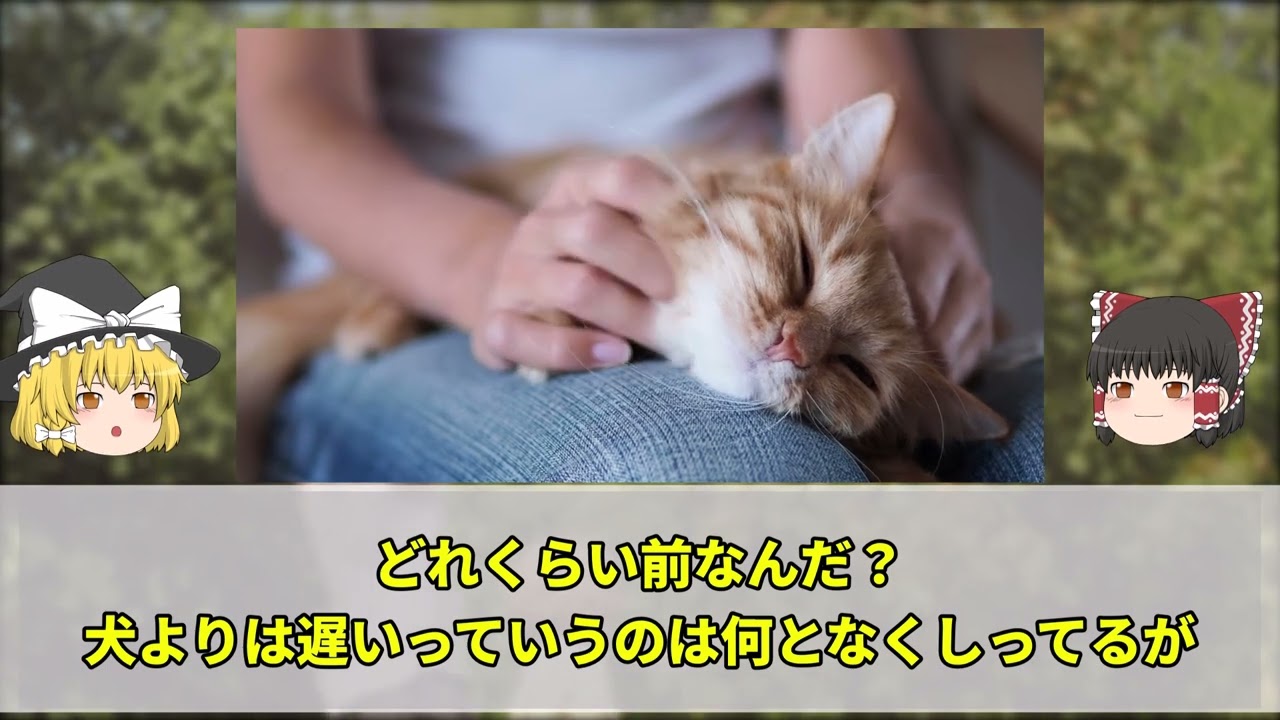 ゆっくり解説風動画　